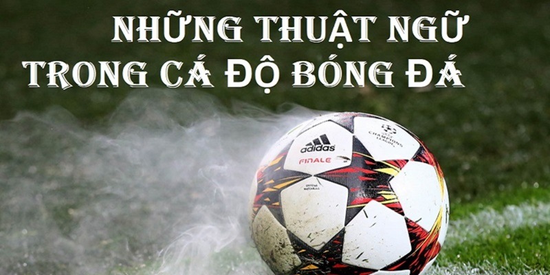 Thuật ngữ cá độ bóng đá hiện nay cho thành viên