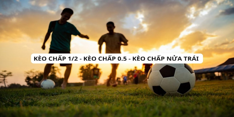 Kèo chấp nửa trái đang được đông đảo bet thủ yêu thích