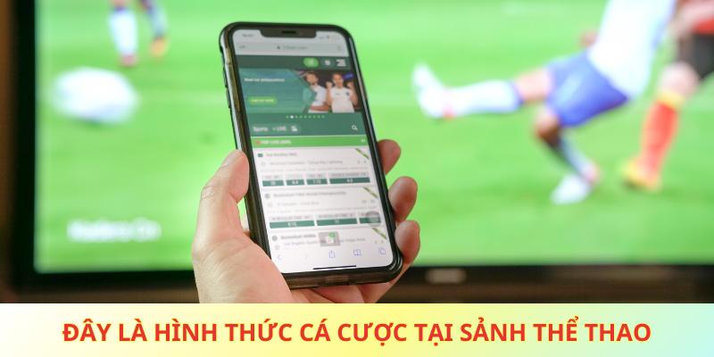 Đây là hình thức cá cược kinh điển tại sảnh thể thao