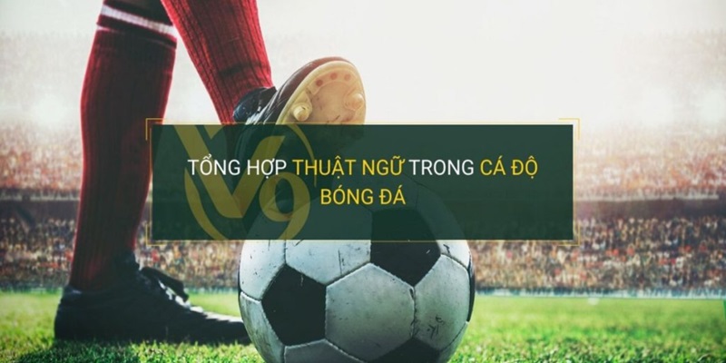 Tìm hiểu những thuật ngữ cá độ bóng đá về loại kèo