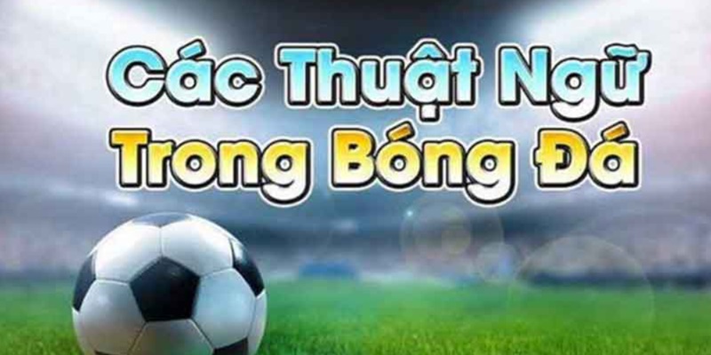 Các tiếng lóng trong thuật ngữ cá độ bóng đá  đá của tay chơi