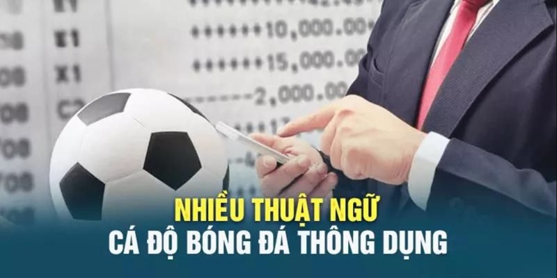 thuat-ngu-ca-do-bong-da.jpg